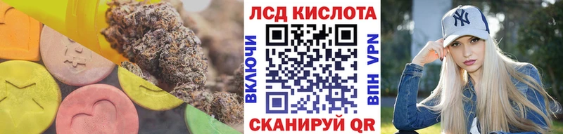blacksprut сайт  Почеп  Лсд 25 экстази кислота 
